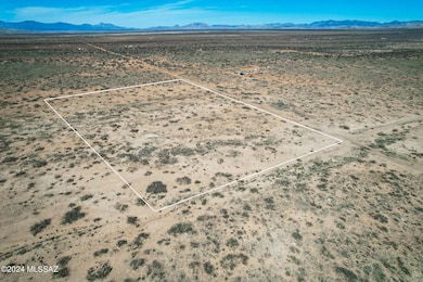 catclaw5acres-8