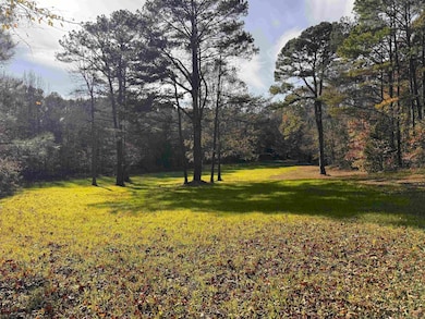 0 Silerton Rd, Toone, TN 38381 - photo 3