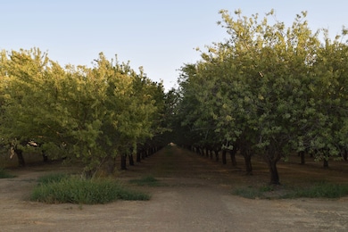 Unnamed Rd, Esparto, CA 95627 - photo 4