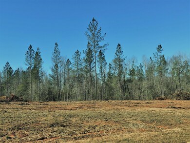 1.11ac Pineview Rd, Lucedale, MS 39452 - photo 2