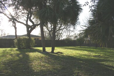 Shaded in the Afternoon