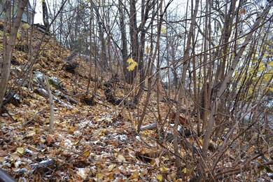 0 Fremont unit 72099081, Somerville, MA 02144 - photo 4