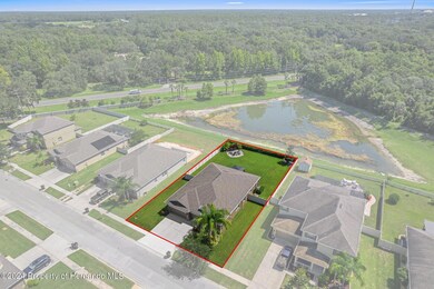 4-web-or-mls-DJI_0498_outlines
