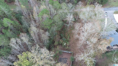 0 Bluffs Cir unit 25 21416175, Wedowee, AL 36278 - photo 4