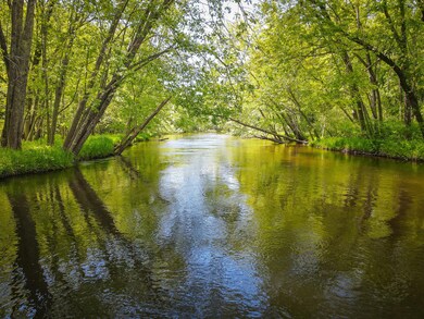 Parcel A E Conrad Rd, Custer, MI 49405 - photo 5