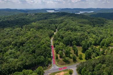LT 80 Doll Mountain Rd, Ellijay, GA 30540 - photo 4