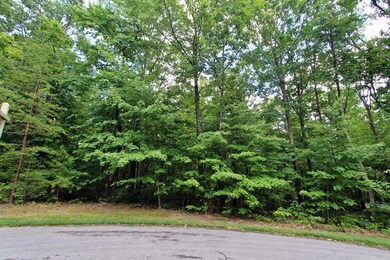 N Shivas Crest Lot 59IMG_0070
