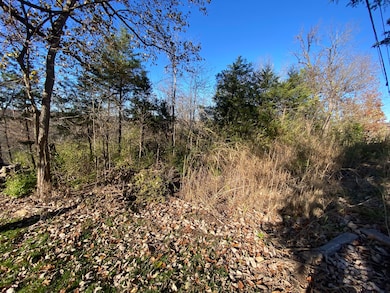 0 E Redbud St, Springfield, MO 65804 - photo 6