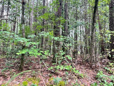 0 Prigmore Ridge Rd unit 1310631, Decatur, TN 37322 - photo 3