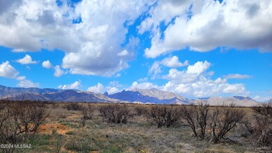 1.7 ACRE on Treasure Rd (10)