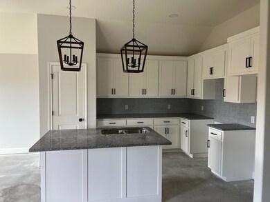 933 Avagail Ave, Springtown, TX 76082 - photo 2