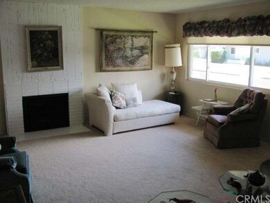 Enlarged living room with gas and wood burning fir