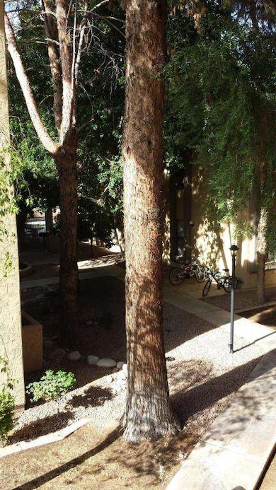 1125 E Broadway Rd unit 222, Tempe, AZ 85282 - photo 5