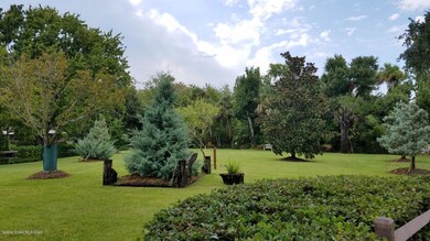 2019-08-10 16.59.21-1 (Medium)