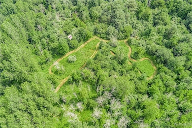 V/L Coleman Rd, Somerset, NY 14012 - photo 2