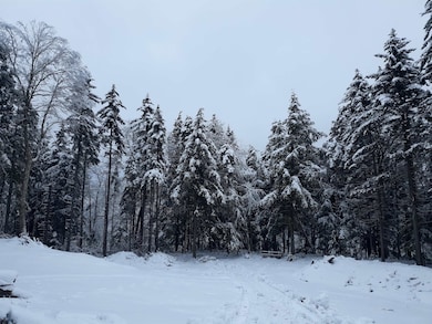 1304 Vermont Route 100 unit Lot 4 - riverfront, Readsboro, VT 05350 - photo 7