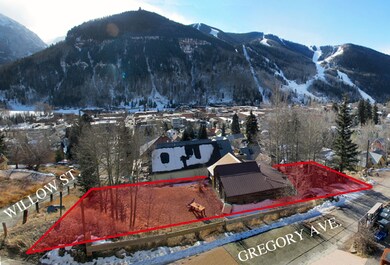 Willow Lot Panorama