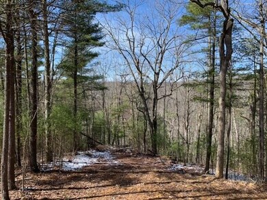 image1 (1)