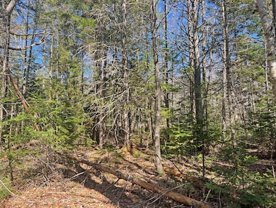Lot 7 Joy Way, Ellsworth, ME 04605 - photo 5