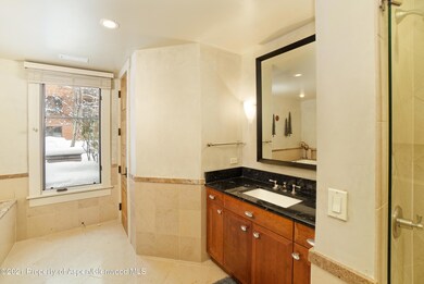 101 N Spring St unit 102, Aspen, CO 81611 - photo 7