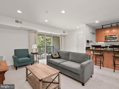 1134 Cove Rd unit 302, Annapolis, MD 21403 - photo 6