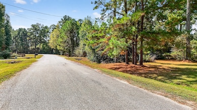 7365 Washington Ave, Montgomery, TX 77316 - photo 3