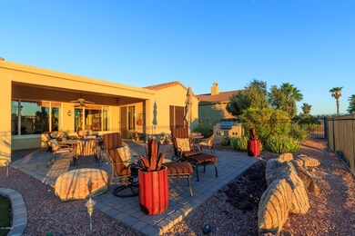 Backyard Delight