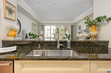 210 10th St NE unit 101, Charlottesville, VA 22902 - photo 5