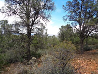1400 Tranquility Point Pic 5