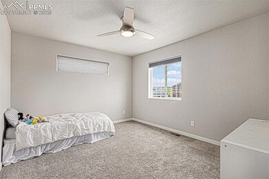 6330 Stonefly Dr, Colorado Springs, CO 80924 - photo 7