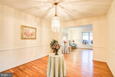 408 Scott Dr, Silver Spring, MD 20904 - photo 7