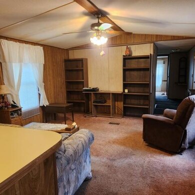 1251 W Coolidge St, Bitely, MI 49309 - photo 6