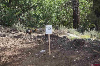 0 Calico Ct unit 696694, Durango, CO 81301 - photo 3