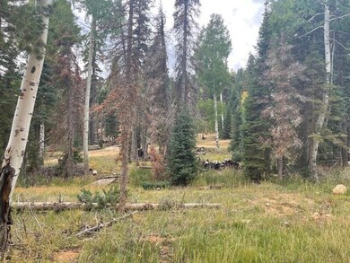 955 W Bear Track unit (Lot 66), Duck Creek Village, UT 84762 - photo 7