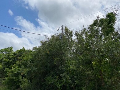 6304 Septimo St, Brazoria, TX 77422 - photo 4