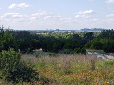 Mountain view featuring a forest