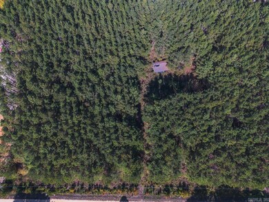 336 Grant County 676, Grapevine, AR 72057 - photo 7