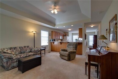 Huge Living Room with trey ceilings 