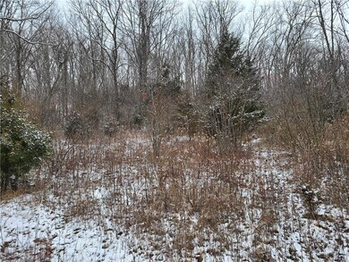 0 Snail Creek Rd, Saint Leon, IN 47012 - photo 6