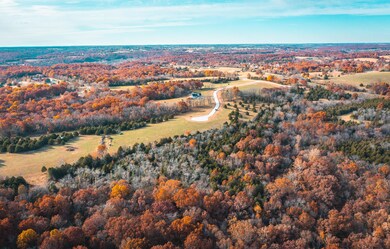 DJI_0853