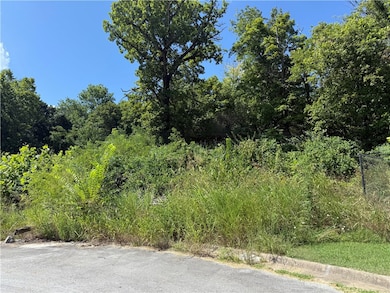 387 & 397 Hidden Creek Place, West Fork, AR 72774 - photo 7