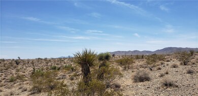 000 Bluepoint Dr, Meadview, AZ 86444 - photo 5