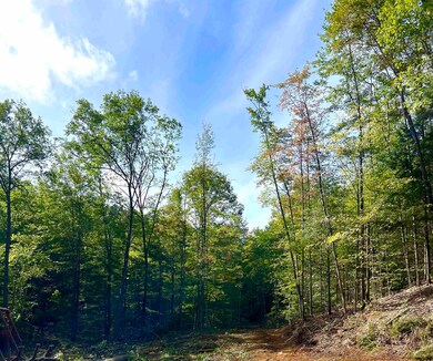 470 Daniel Webster Hwy, Plymouth, NH 03264 - photo 6