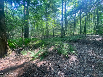 0 State Route 307 & Donny Dr unit PWBPW241930, Moscow, PA 18444 - photo 5