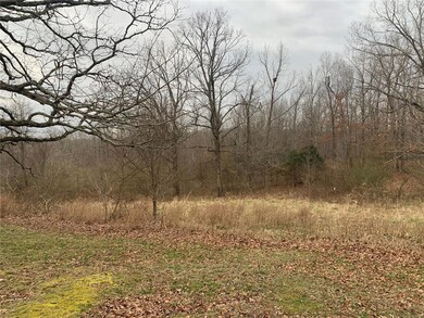 4240 Highway M, Poplar Bluff, MO 63901 - photo 6