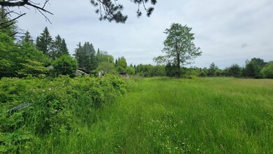 ON Cth A unit 4.62 Acres, Deerbrook, WI 54424 - photo 4