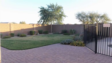 backyard 110212