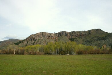 0 Twisp-Winthrop Eastside Rd unit 769143, Twisp, WA 98856 - photo 7