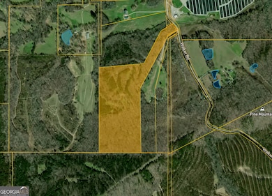 34.61 ACRES Walker Rd, Meansville, GA 30256 - photo 3