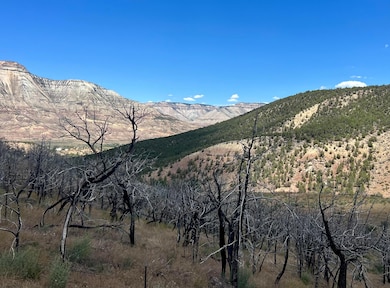 TBD 2 Cr 300, Parachute, CO 81635 - photo 5